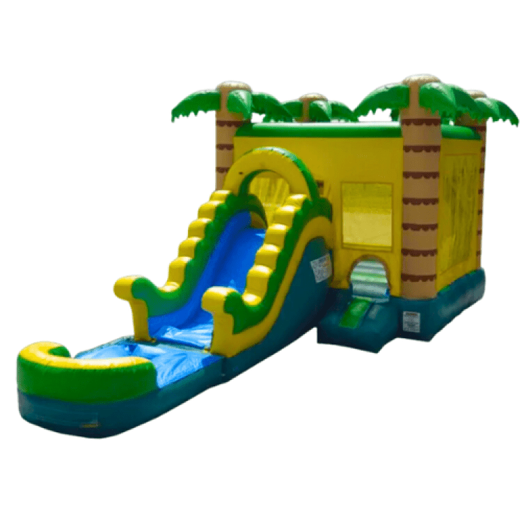 Bounce House W/ Slide Rentals