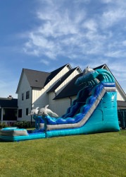 8258 1751999900 1 19ft Single Lane Dolphin Wave