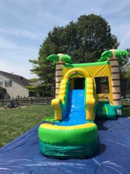 IMG 8428 1723489340 Jungle Bouncer with a Front waterslide